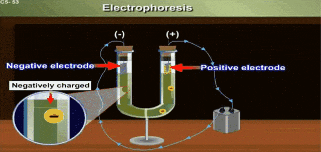 EPD Electrophoretic deposition